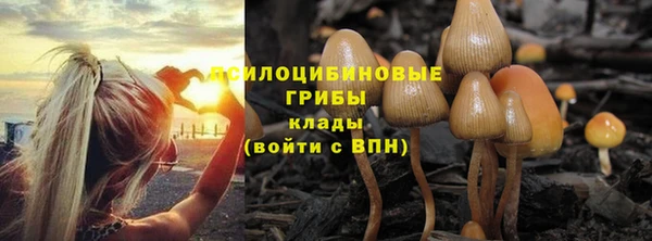 а пвп мука Балахна
