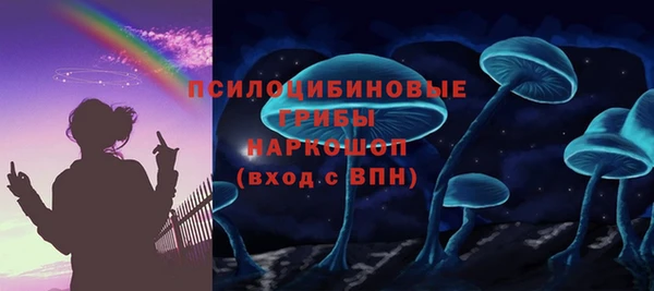 a pvp Аркадак