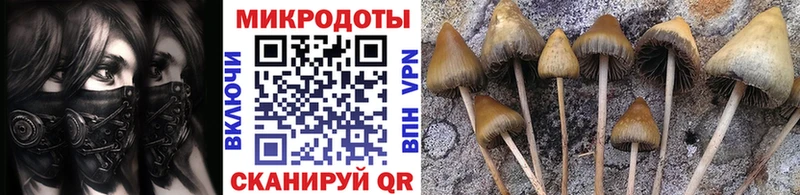 Галлюциногенные грибы мухоморы Пугачёв