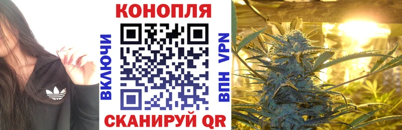 shop наркотические препараты  kraken tor  Пугачёв  МАРИХУАНА OG Kush 